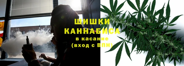 шишки Балабаново